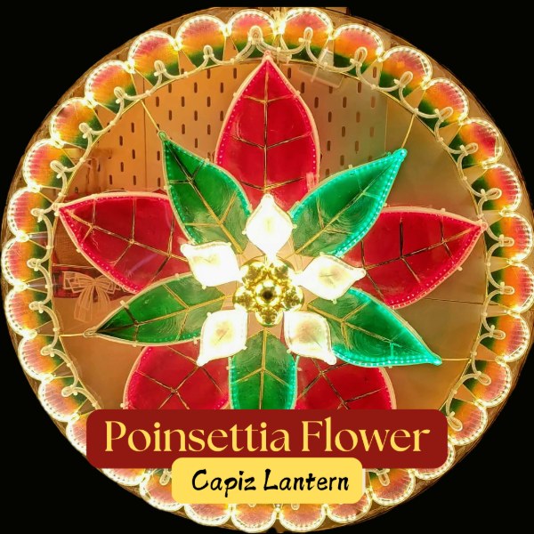 [PH-0163] Parol Poinsettia Colored Capiz Lantern - 220v (20 inches / 51cm)